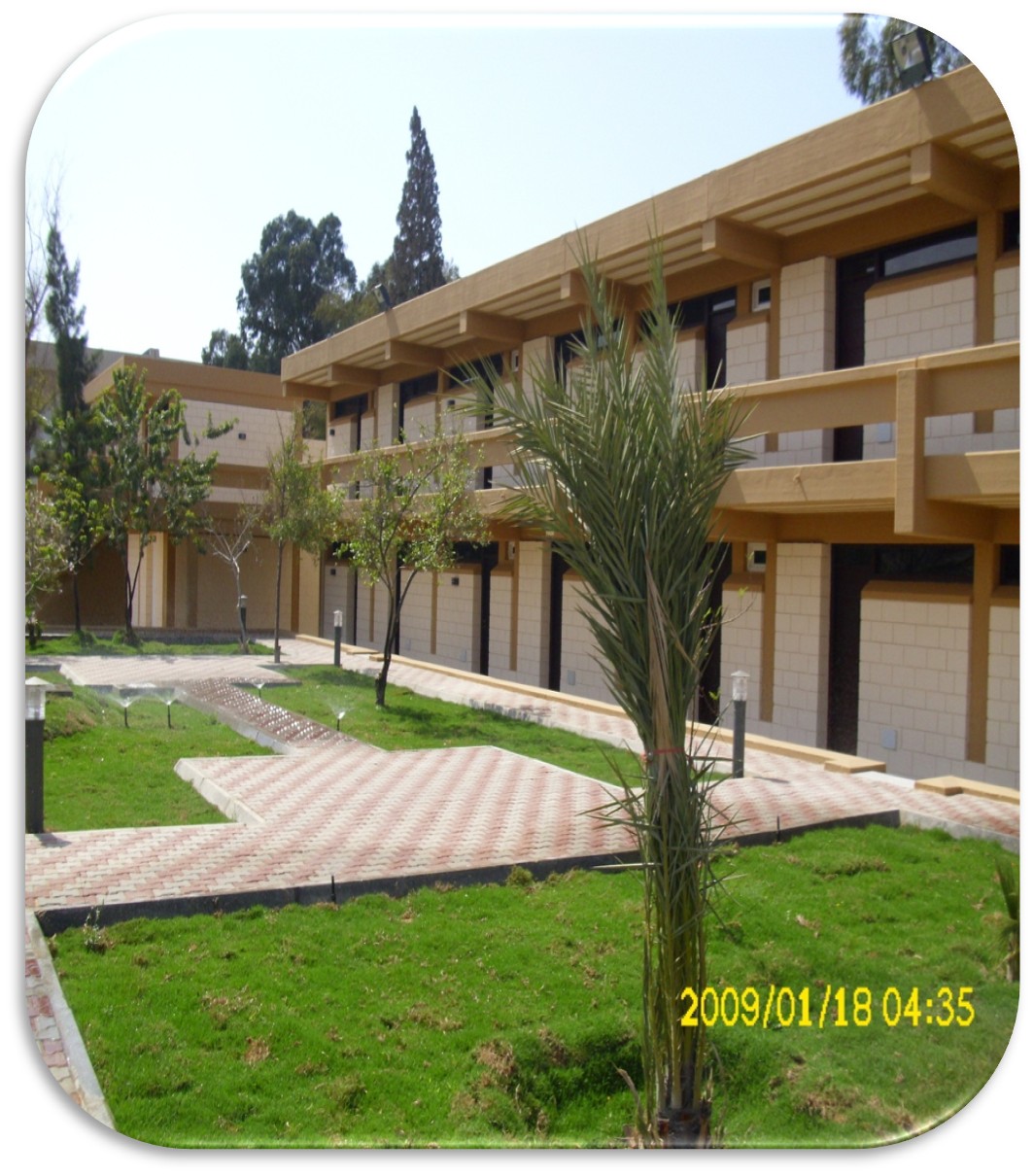 Project image