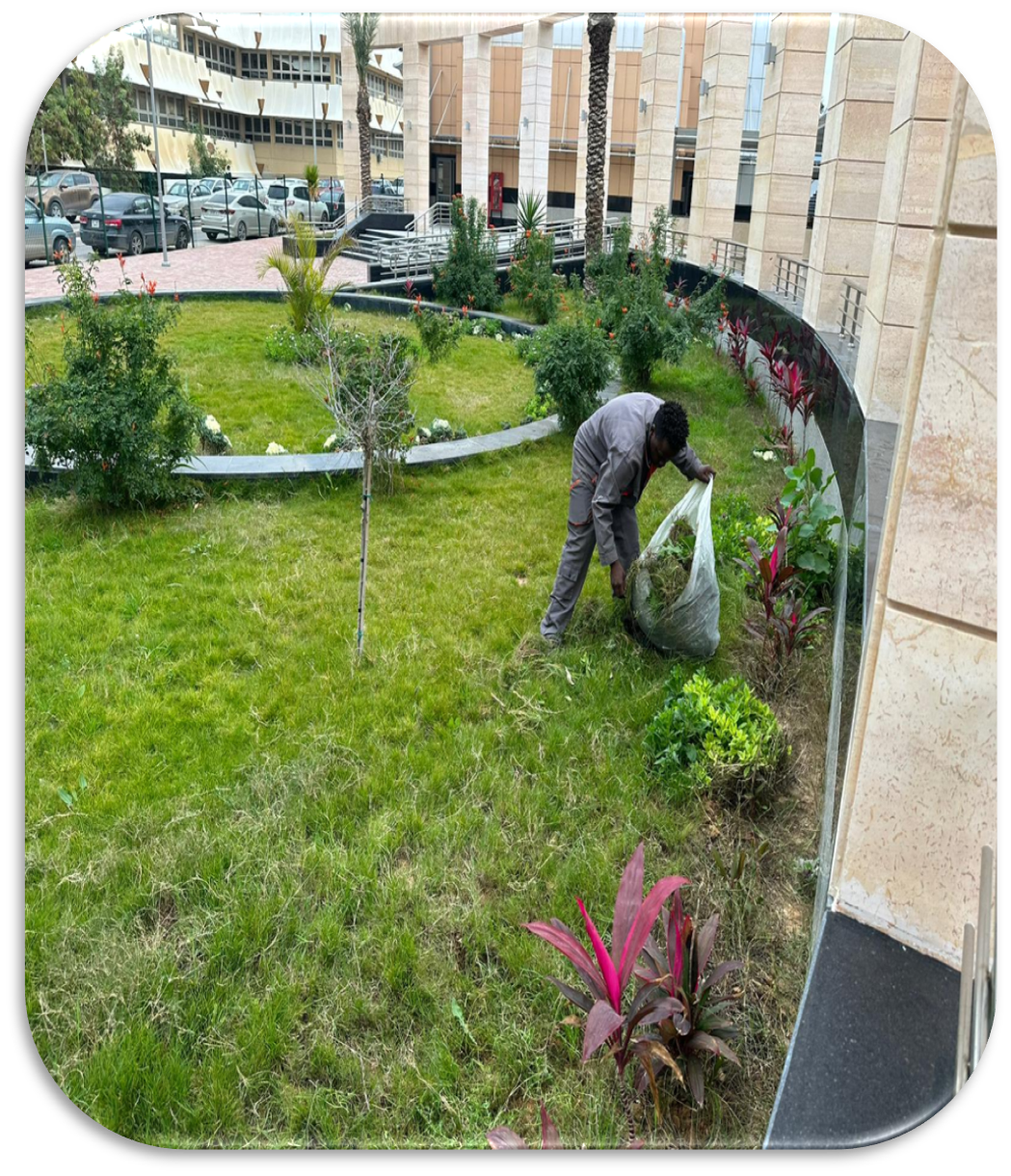 Project image